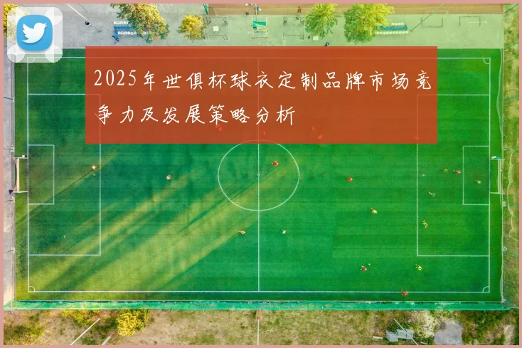 2025年世俱杯球衣定制品牌市场竞争力及发展策略分析