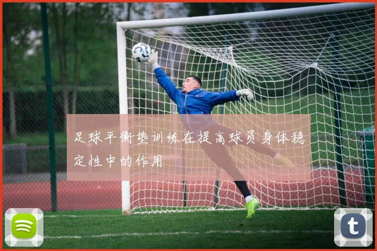 足球平衡垫训练在提高球员身体稳定性中的作用